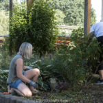 Arbeitseinsatz 14.07.2023