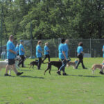 Formation in Marktheidenfeld 2023