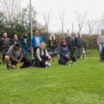 Begleithundeprüfung 2025