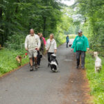 Hundewanderung 25.05.2025