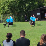 Marktheidenfeld 2025