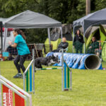 DVM-Turnier 14.06.2026