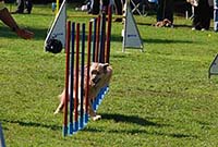 AG_Turnier_beitraglinks_thumb