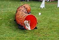 AG_Turnier_beitragrechts_thumb